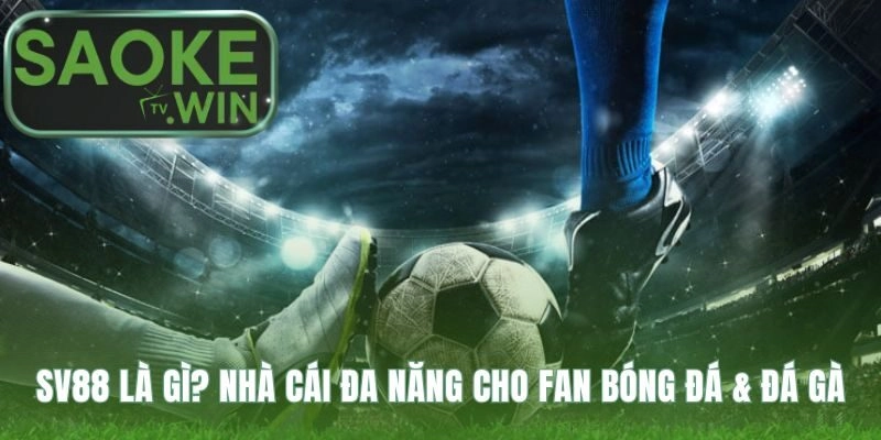 SV88 kết hợp soi kèo bóng đá và giải trí đá gà Thomo